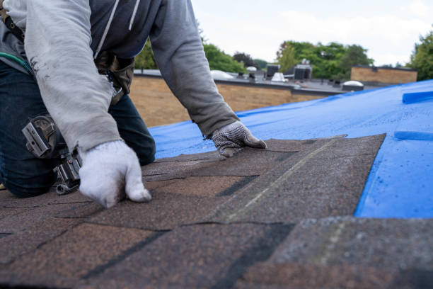 Best Residential Roofing Contractor  in Boulevard Gardens, FL