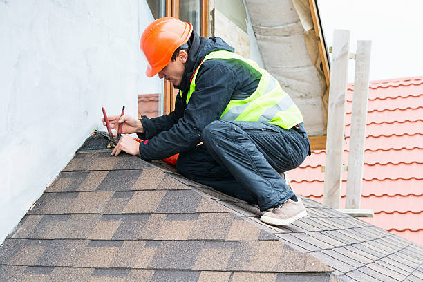 Best Gutter Installation and Roofing  in Boulevard Gardens, FL
